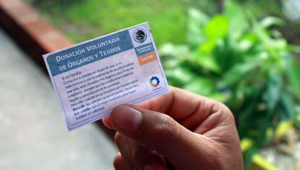 25_sep_12_donación-de-órganos